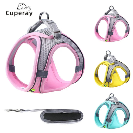 Reflective Dog Harness and Leash Set, Escape Proof Vest Harness with Soft Mesh for Cat Puppy Small Pets with Easy Control Handle